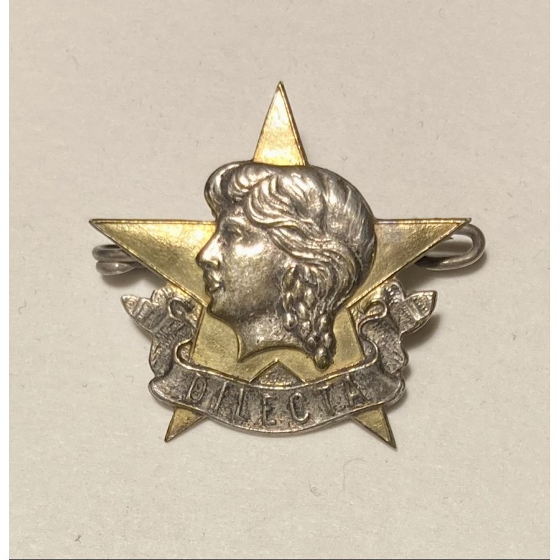 Broche Cycles Dilecta à Le Blanc (Indre)