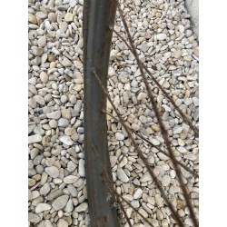 1898 (circa) - vélo dame à double tubes diagonaux marque inconnue - C198