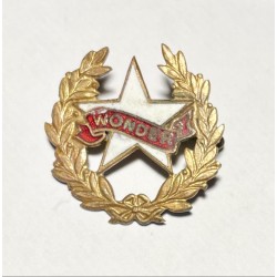 Broche Cycles Wonder à Saint-Etienne (Loire) - version dorée émaillée